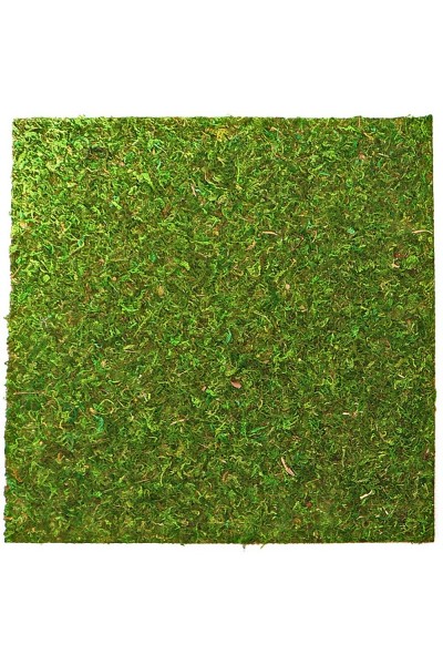 Фон моховый Repti-Zoo Natural Moss Back & Bottom 30x30см 2шт. (NCM3030)