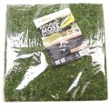 Фон моховый Repti-Zoo Natural Moss Back & Bottom 30x30см 2шт. (NCM3030)