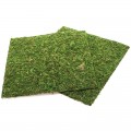 Фон моховый Repti-Zoo Natural Moss Back & Bottom 30x30см 2шт. (NCM3030)