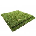 Фон моховый Repti-Zoo Natural Moss Back & Bottom 30x30см 2шт. (NCM3030)