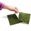Фон моховый Repti-Zoo Natural Moss Back & Bottom 30x30см 2шт. (NCM3030)