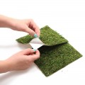 Фон моховый Repti-Zoo Natural Moss Back & Bottom 30x30см 2шт. (NCM3030)