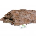 Декорация укрытие Terrario Dragon Stone S 22x12x7см (22127)