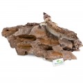 Декорация укрытие Terrario Dragon Stone S 22x12x7см (22127)