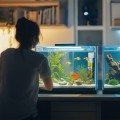Внутрішній фільтр Kruger Meier NeoClear 800 з біофільтрацією та аерацією для акваріумів 40–80 літрів