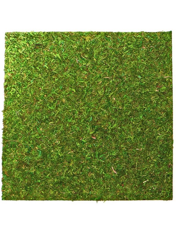 Фон моховий Repti-Zoo Natural Moss Back & Bottom 45x45см 2шт. (NCM4545)