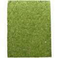 Фон моховый Repti-Zoo Natural Moss Back & Bottom 60x45см 2шт. (NCM6045)