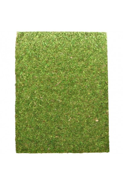 Фон моховий Repti-Zoo Natural Moss Back & Bottom 60x45см 2шт. (NCM6045)
