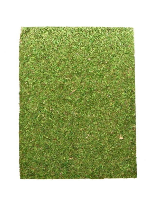 Фон моховый Repti-Zoo Natural Moss Back & Bottom 60x45см 2шт. (NCM6045)