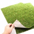 Фон моховый Repti-Zoo Natural Moss Back & Bottom 60x45см 2шт. (NCM6045)