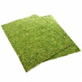 Фон моховый Repti-Zoo Natural Moss Back & Bottom 60x45см 2шт. (NCM6045)