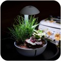 Мини-террариум Chihiros Tiny Terrarium Egg с LED-подсветкой и управлением через приложение Мини-террариум Chihiros Tiny Terrarium Egg с LED-подсветкой и управлением через приложение