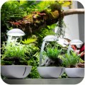 Мини-террариум Chihiros Tiny Terrarium Egg с LED-подсветкой и управлением через приложение Мини-террариум Chihiros Tiny Terrarium Egg с LED-подсветкой и управлением через приложение