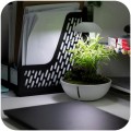 Мини-террариум Chihiros Tiny Terrarium Egg с LED-подсветкой и управлением через приложение Мини-террариум Chihiros Tiny Terrarium Egg с LED-подсветкой и управлением через приложение
