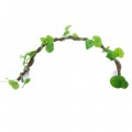 Искусственная лиана Hobby Jungle Vine 1 100 см (37702) - гибкое декоративное растение для террариума, акватерариума и палюдариума. Искусственная лиана Hobby Jungle Vine 1 100 см (37702) - гибкое декоративное растение для террариума, акватерариума и палюдариума.