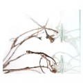 Лиана изогнутая с листьями Repti-Zoo Bend-A-Branch Vine 150см (RV0415)