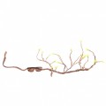 Лиана дерево Repti-Zoo Jungle Tree-liana 100см (RV0410)