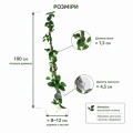 Искусственная лиана Hobby Jungle Vine 2 100 см (37703) - гибкое декоративное растение для террариума, акватерариума и палюдариума. Искусственная лиана Hobby Jungle Vine 2 100 см (37703) - гибкое декоративное растение для террариума, акватерариума и палюдариума.