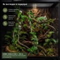 Искусственная лиана Hobby Jungle Vine 2 100 см (37703) - гибкое декоративное растение для террариума, акватерариума и палюдариума. Искусственная лиана Hobby Jungle Vine 2 100 см (37703) - гибкое декоративное растение для террариума, акватерариума и палюдариума.