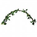 Искусственная лиана Hobby Jungle Vine 2 100 см (37703) - гибкое декоративное растение для террариума, акватерариума и палюдариума. Искусственная лиана Hobby Jungle Vine 2 100 см (37703) - гибкое декоративное растение для террариума, акватерариума и палюдариума.