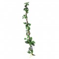 Искусственная лиана Hobby Jungle Vine 2 100 см (37703) - гибкое декоративное растение для террариума, акватерариума и палюдариума. Искусственная лиана Hobby Jungle Vine 2 100 см (37703) - гибкое декоративное растение для террариума, акватерариума и палюдариума.