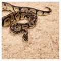 Субстрат из тополи 2.4л Repti-Zoo Aspen Snake Bedding (SB001)