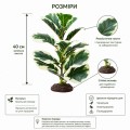 Искусственное растение Hobby Ficus Elastica 1 40 см (37705) для террариума, акватерариума и палюдариума