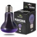 Ночная лампа с подогревом Terrario Manguna Moonlight Lamp 25W (TR-MANGUNA-25W)