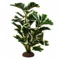 Искусственное растение Hobby Ficus Elastica 2 55 см (37706) для террариума, акватерариума и палюдариума