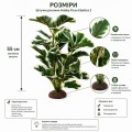 Искусственное растение Hobby Ficus Elastica 2 55 см (37706) для террариума, акватерариума и палюдариума
