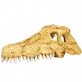 Череп крокодила Repti-Zoo Crocodile Skull S 11x6x4см (ERS34S)