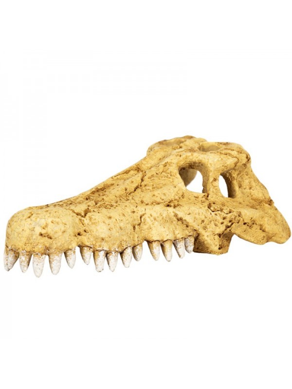 Череп крокодила Repti-Zoo Crocodile Skull S 11x6x4см (ERS34S)