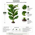 Искусственное растение Hobby Marantha Tree 55 см (37708) для террариума, акватерариума и палюдариума