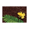 Подложка из кокосового волокна Repti-Zoo Coconut fiber Substrate 8л (SB650)
