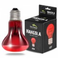 Инфракрасная нагревательная лампа Terrario Nangola Red Night Light 25W (TR-NANGOLA-25W)