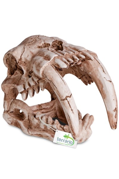 Декорація череп тигра Terrario Sabertooth Skull 13x8,5x11см (15911)