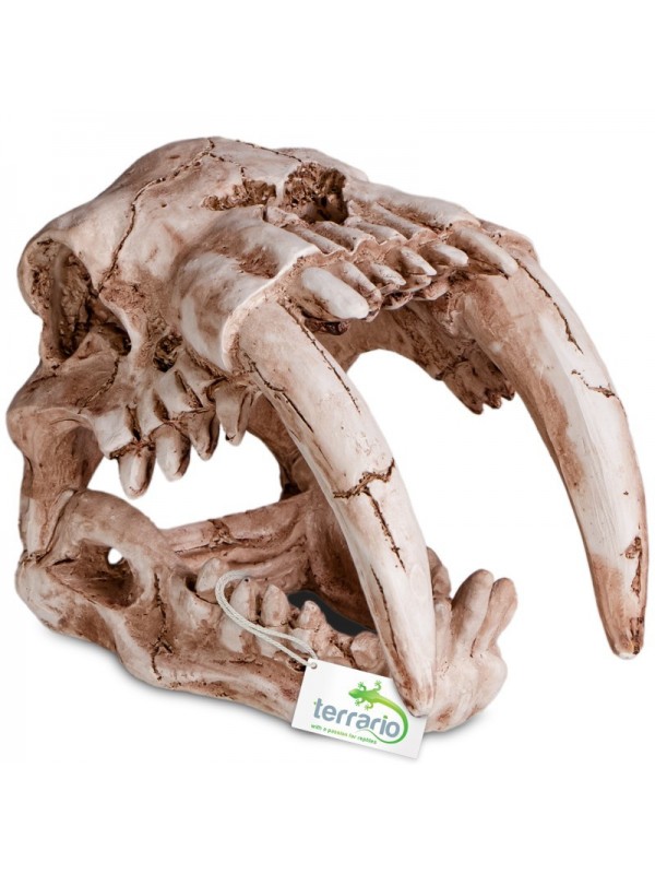 Декорація череп тигра Terrario Sabertooth Skull 13x8,5x11см (15911)