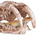 Декорація череп тигра Terrario Sabertooth Skull 13x8,5x11см (15911)