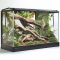 Декорація череп тигра Terrario Sabertooth Skull 13x8,5x11см (15911)