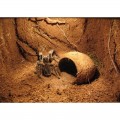 Подложка из кокосового волокна Repti-Zoo Coconut fiber Substrate 4л (SB650S)