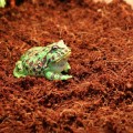 Субстрат тропический Komodo Tropical Terrain 6л (U46015)