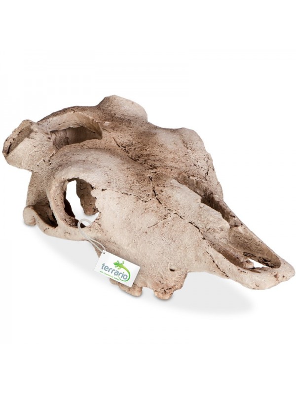 Декорація череп буйвола Terrario Buffalo Skull 21x12x8см (22128)