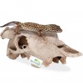 Декорація череп буйвола Terrario Buffalo Skull 21x12x8см (22128)