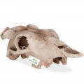 Декорація череп буйвола Terrario Buffalo Skull 21x12x8см (22128)