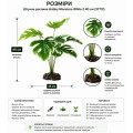 Искусственное растение Hobby Monstera White 40 см (37712) для террариума, акватерариума и палюдариума