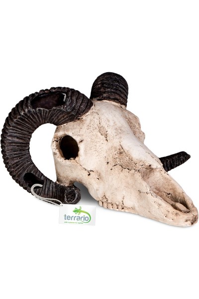 Декорация черепа барана Terrario Ram Skull 19x16x11см (191712)