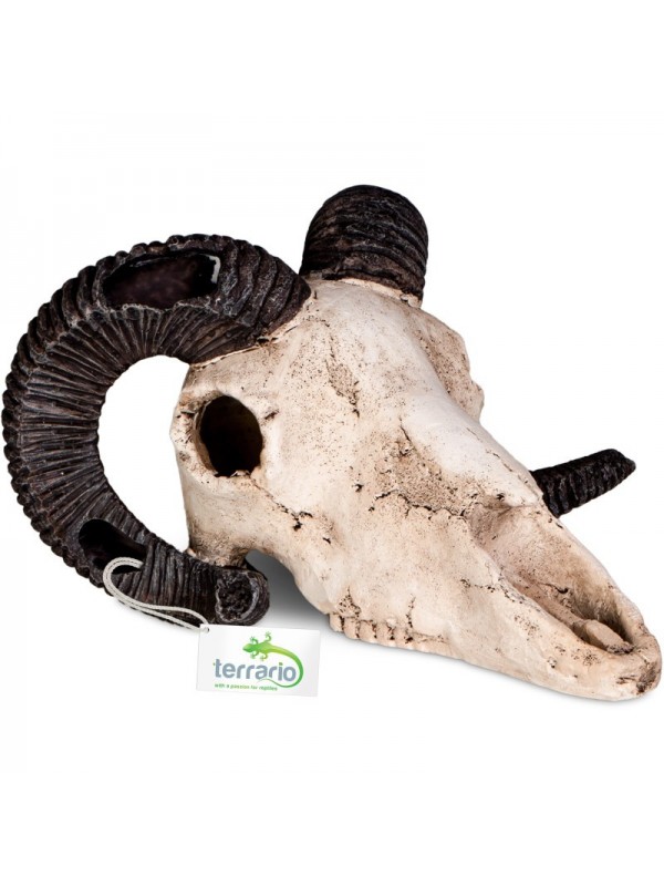 Декорація череп барана Terrario Ram Skull 19x16x11см (191712)
