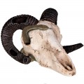Декорація череп барана Terrario Ram Skull 19x16x11см (191712)