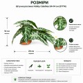 Искусственное растение Hobby Calathea 1 24×14 см (37714) для террариума, акватерариума и палюдариума