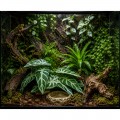 Искусственное растение Hobby Calathea 1 24×14 см (37714) для террариума, акватерариума и палюдариума